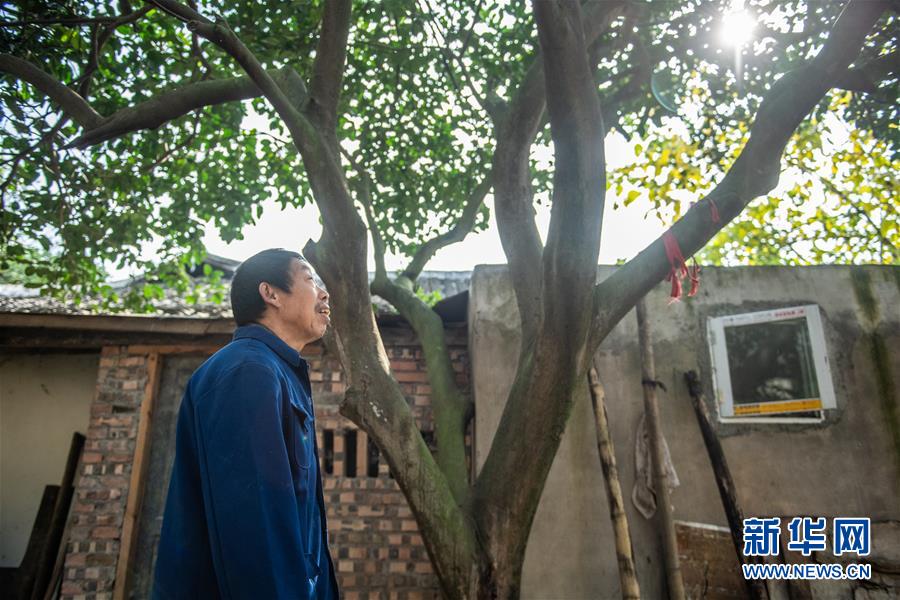 (新華全媒頭條·圖文互動(dòng))(7)書寫新的轉(zhuǎn)折——寫在革命老區(qū)遵義全面脫貧之際