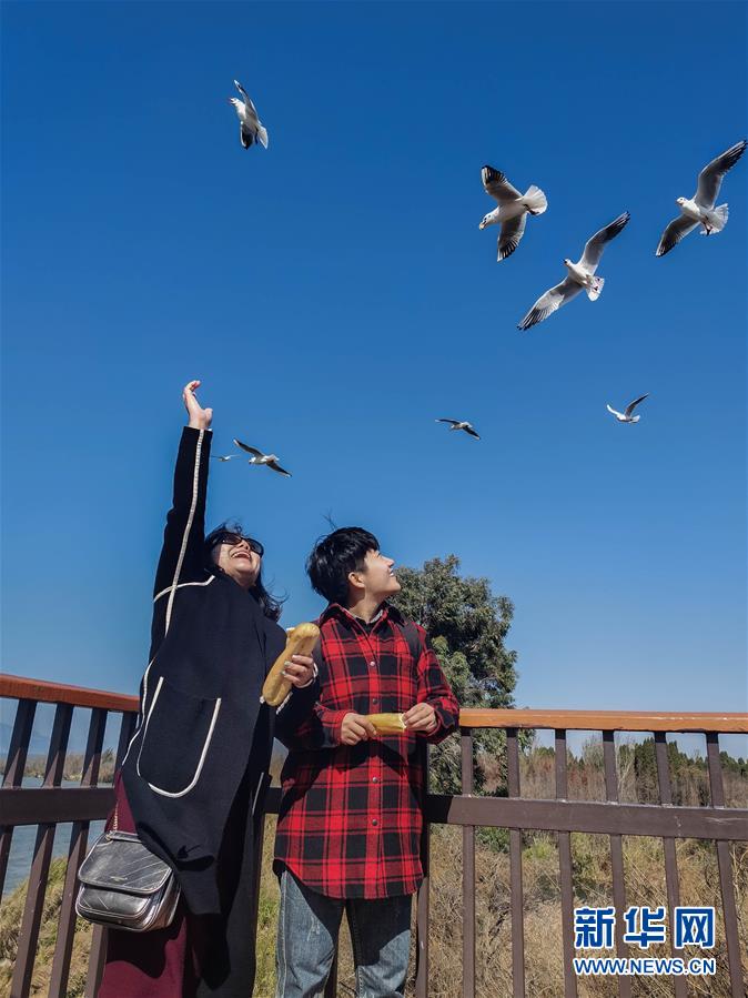 （一線抗疫群英譜·圖文互動）（1）大學(xué)生志愿者譚藝西：在武漢，我和媽媽共戰(zhàn)“疫”