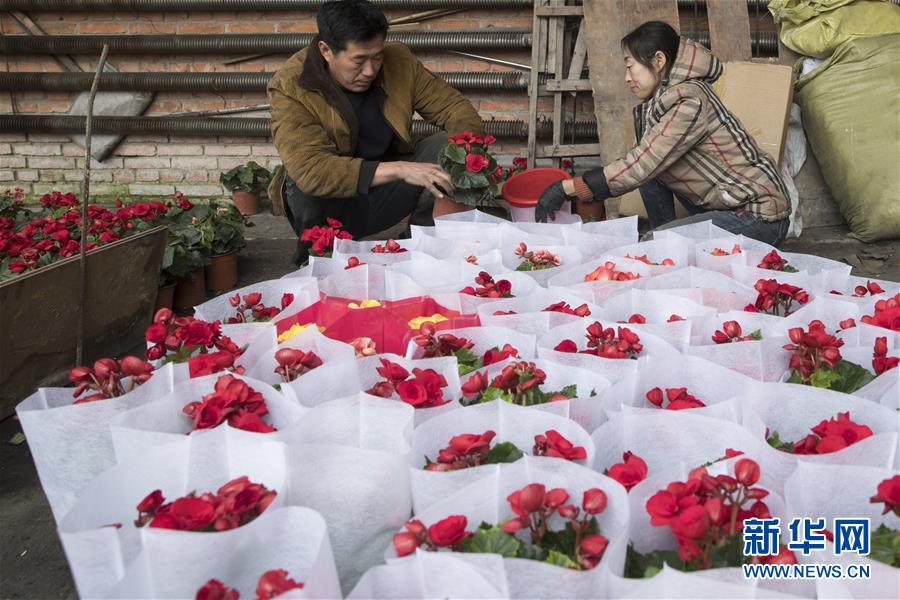 （在習(xí)近平新時(shí)代中國(guó)特色社會(huì)主義思想指引下——新時(shí)代新作為新篇章·習(xí)近平總書記關(guān)切事·圖文互動(dòng)）（1）希望的田野，希望的春天——各地農(nóng)業(yè)生產(chǎn)新動(dòng)態(tài)掃描