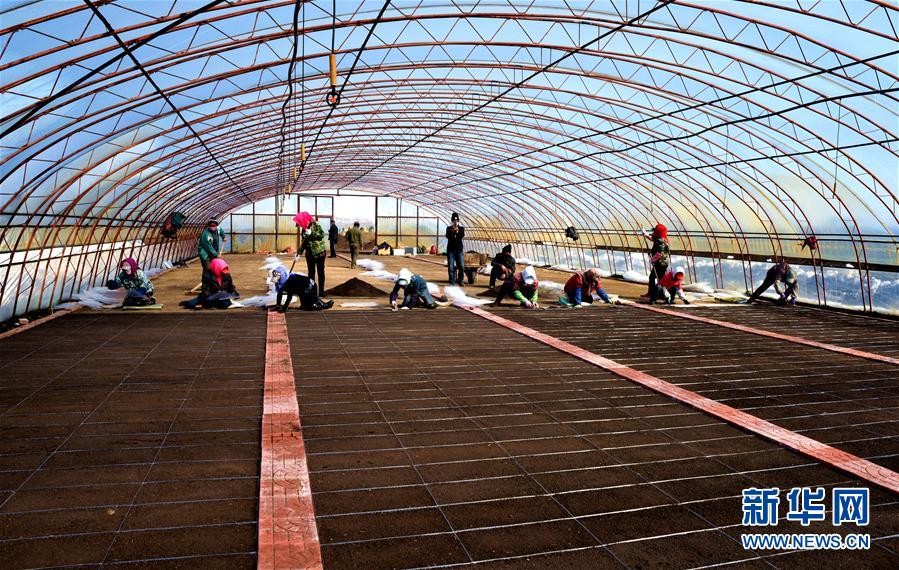 （在習(xí)近平新時(shí)代中國(guó)特色社會(huì)主義思想指引下——新時(shí)代新作為新篇章·習(xí)近平總書記關(guān)切事·圖文互動(dòng)）（5）希望的田野，希望的春天——各地農(nóng)業(yè)生產(chǎn)新動(dòng)態(tài)掃描