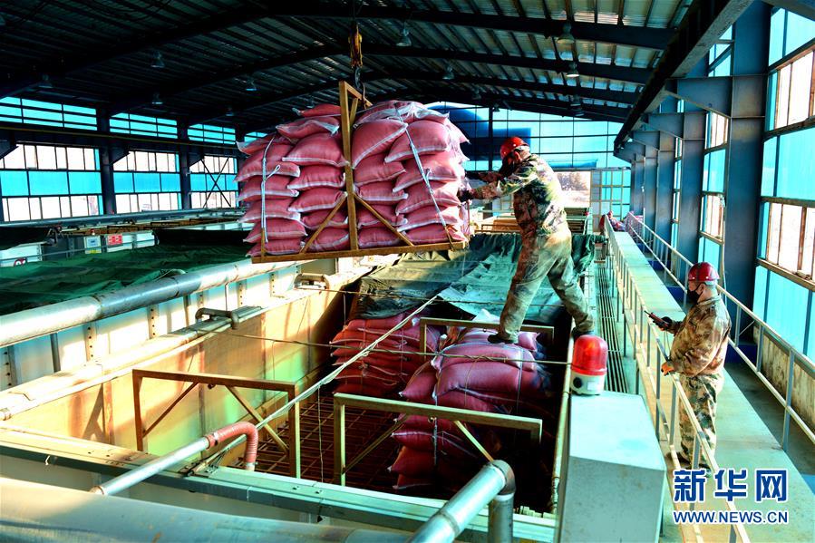 （在習(xí)近平新時(shí)代中國(guó)特色社會(huì)主義思想指引下——新時(shí)代新作為新篇章·習(xí)近平總書記關(guān)切事·圖文互動(dòng)）（6）希望的田野，希望的春天——各地農(nóng)業(yè)生產(chǎn)新動(dòng)態(tài)掃描