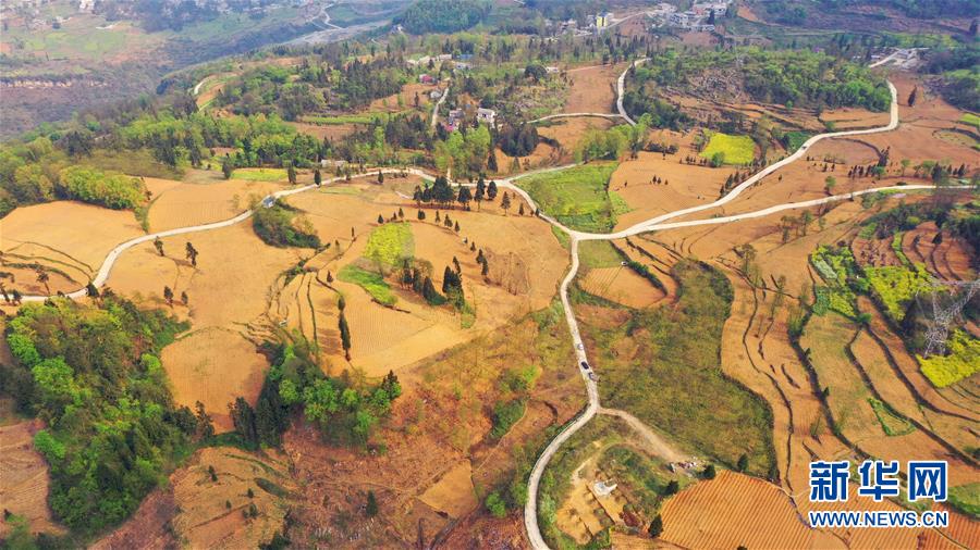 （決戰(zhàn)決勝脫貧攻堅(jiān)·圖文互動(dòng)）（2）寄相思，償夙愿——5封清明“家書(shū)”里的決戰(zhàn)決勝信念