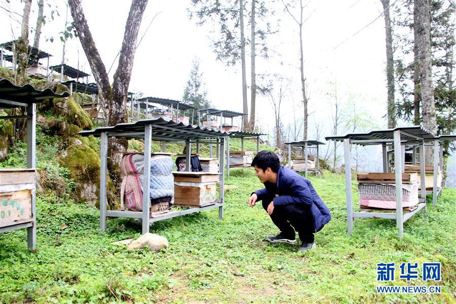 （決戰(zhàn)決勝脫貧攻堅(jiān)·圖文互動(dòng)）（3）寄相思，償夙愿——5封清明“家書(shū)”里的決戰(zhàn)決勝信念