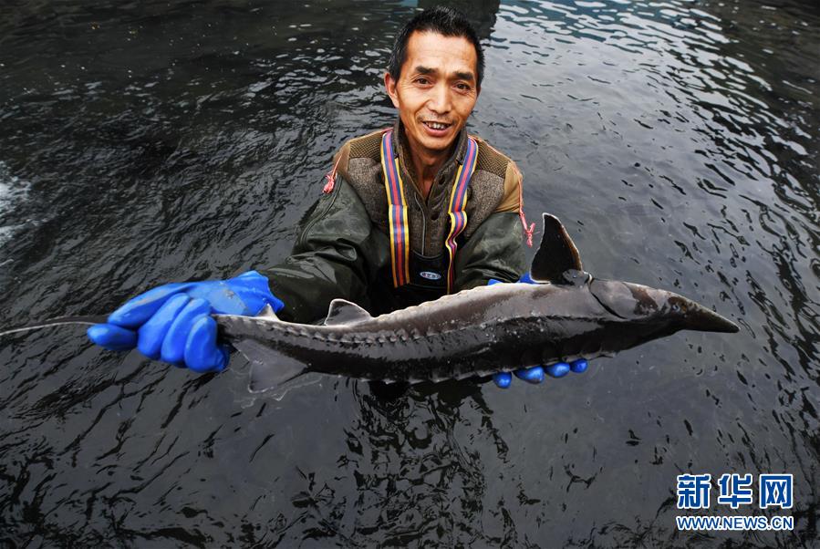 (決戰(zhàn)決勝脫貧攻堅(jiān)·圖文互動(dòng))(4)多重保障 不漏一人——貴州一個(gè)脫貧“摘帽”縣的防貧機(jī)制探索