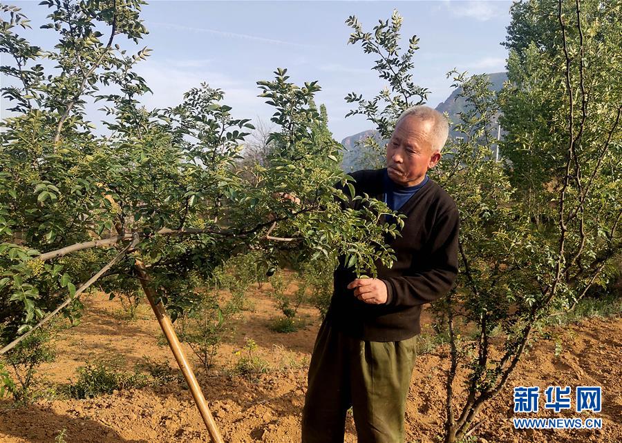 (新華全媒頭條·圖文互動)(5)春天里的5個“戰(zhàn)貧”瞬間——習(xí)近平總書記關(guān)于脫貧攻堅決策部署指引攻克最后的深貧堡壘