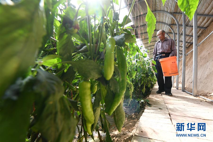 (新華全媒頭條·圖文互動)(15)春天里的5個“戰(zhàn)貧”瞬間——習(xí)近平總書記關(guān)于脫貧攻堅決策部署指引攻克最后的深貧堡壘