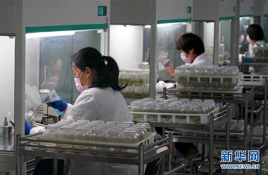 (來(lái)自一線的調(diào)查報(bào)告·圖文互動(dòng))(6)搶出一個(gè)身位謀發(fā)展——河南許昌經(jīng)濟(jì)復(fù)蘇見(jiàn)聞