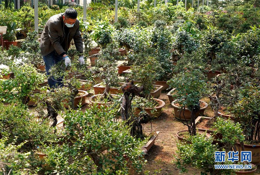 (來(lái)自一線的調(diào)查報(bào)告·圖文互動(dòng))(7)搶出一個(gè)身位謀發(fā)展——河南許昌經(jīng)濟(jì)復(fù)蘇見(jiàn)聞