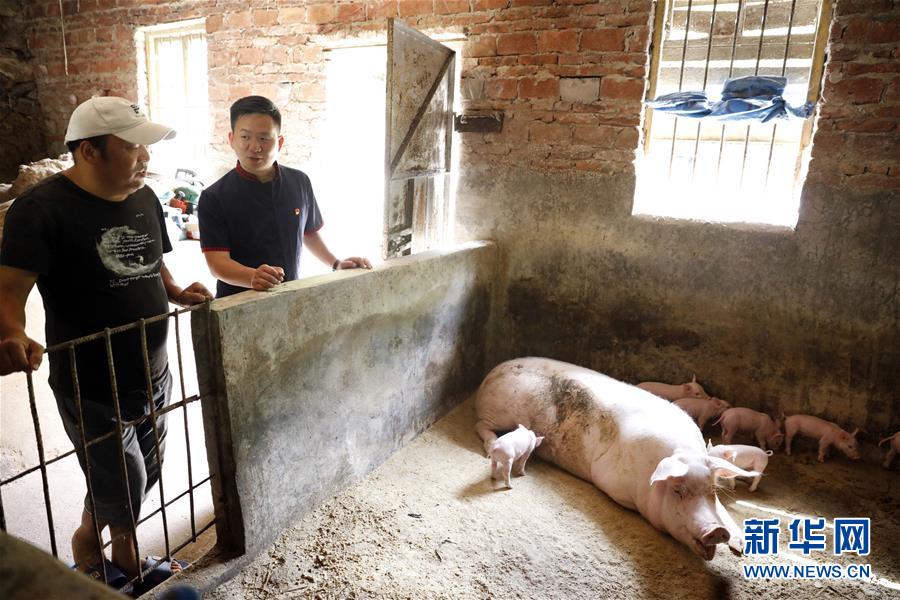 (新華全媒頭條·圖文互動)(1)基層天地廣闊 青春大有作為——聚焦“三支一扶”計劃實施十五年