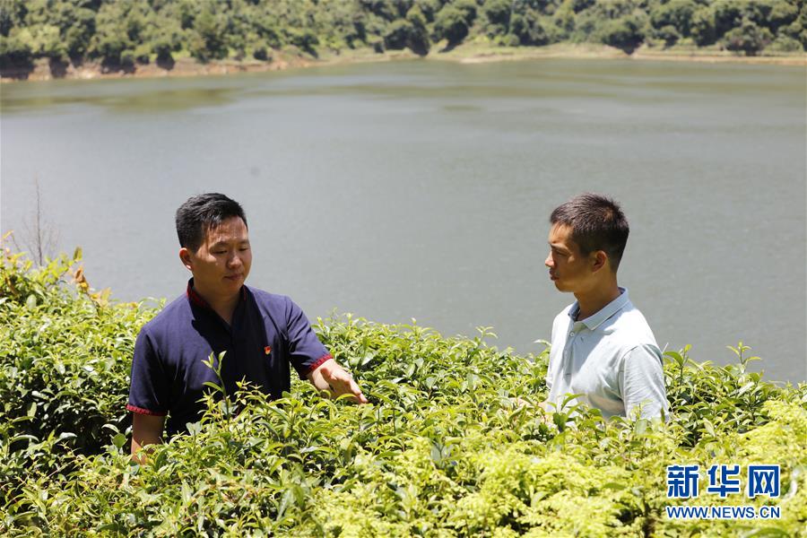 (新華全媒頭條·圖文互動)(3)基層天地廣闊 青春大有作為——聚焦“三支一扶”計劃實施十五年