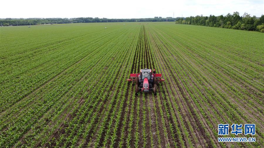 (在習(xí)近平新時(shí)代中國特色社會(huì)主義思想指引下——新時(shí)代新作為新篇章·習(xí)近平總書記關(guān)切事·圖文互動(dòng))(5)讓每一寸耕地都成為豐收的沃土——我國加強(qiáng)耕地保護(hù)推進(jìn)“藏糧于地”