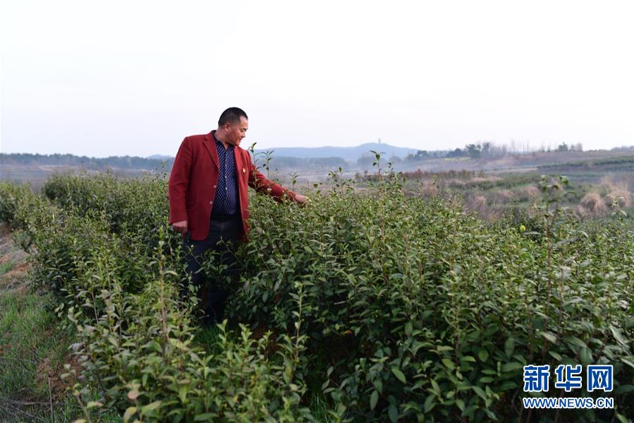 (決戰(zhàn)決勝脫貧攻堅·圖文互動)(3)貧困戶老楊的人生“三級跳”