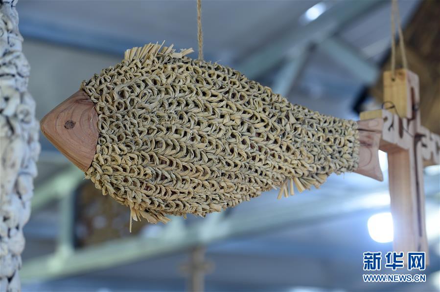  （新華全媒頭條·圖文互動(dòng)）（6）青春，在希望的田野上——大別山區(qū)尋訪“城歸”大學(xué)畢業(yè)生