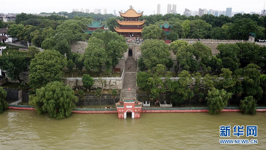 (防汛抗洪)(1)俯瞰高水位下的岳陽樓