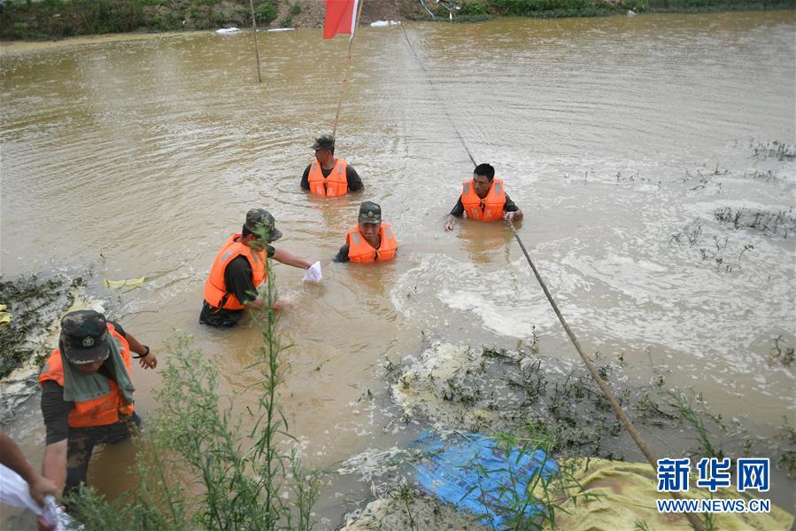 （防汛抗洪·圖文互動）（1）“大堤上有了‘導(dǎo)彈綠’，我們老百姓安了心”