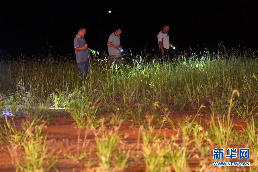 （防汛抗洪·圖文互動）（2）“保衛(wèi)家園，誰都不能是旁觀者”——夜訪洞庭湖大堤防汛一線