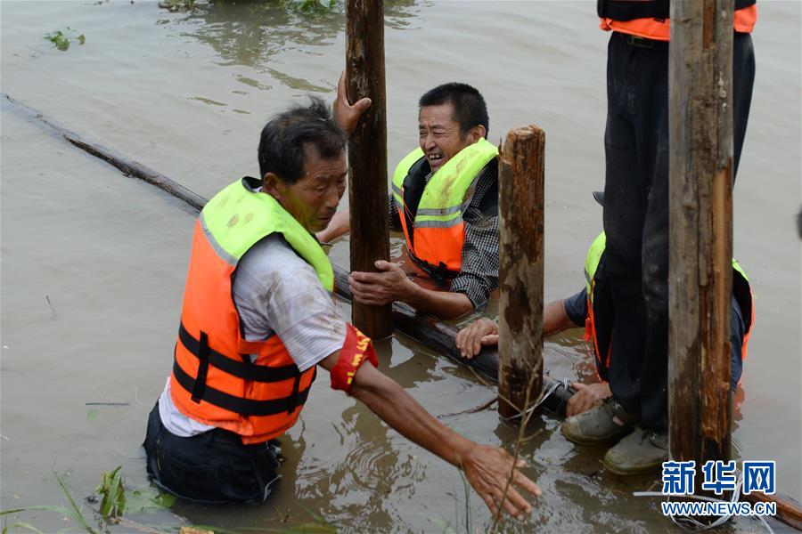 (防汛抗洪)(1)安徽樅陽:搶險江心洲