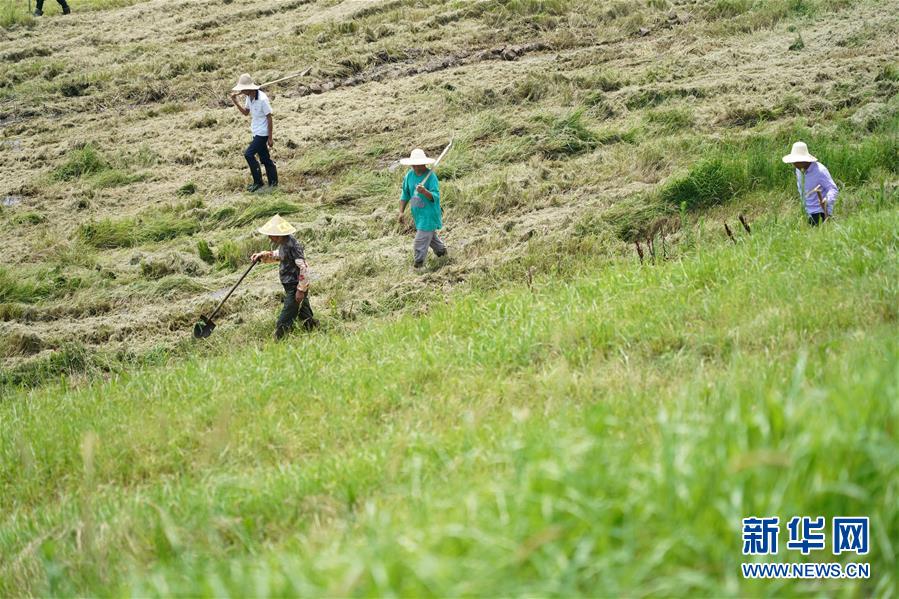 (防汛抗洪·圖文互動(dòng))(4)特寫(xiě):康山大堤上的脫貧“守堤人”