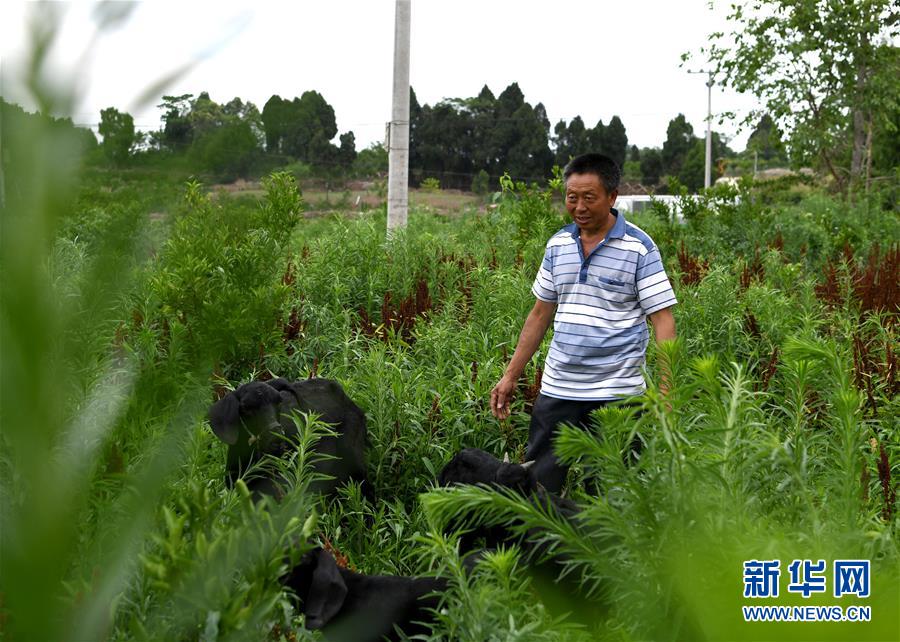 (走向我們的小康生活·圖文互動(dòng))(3)擺擺幸福鄉(xiāng)村的新鮮事兒