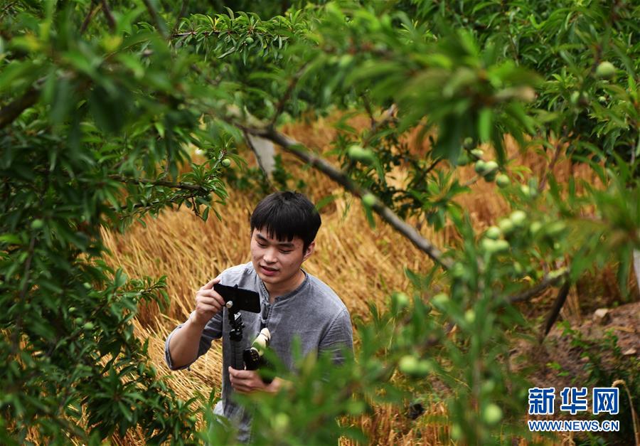 (新華全媒頭條·走向我們的小康生活·圖文互動(dòng))(8)大城大鄉(xiāng)的“幸福協(xié)奏曲”——重慶推動(dòng)高質(zhì)量發(fā)展創(chuàng)造高品質(zhì)生活紀(jì)事