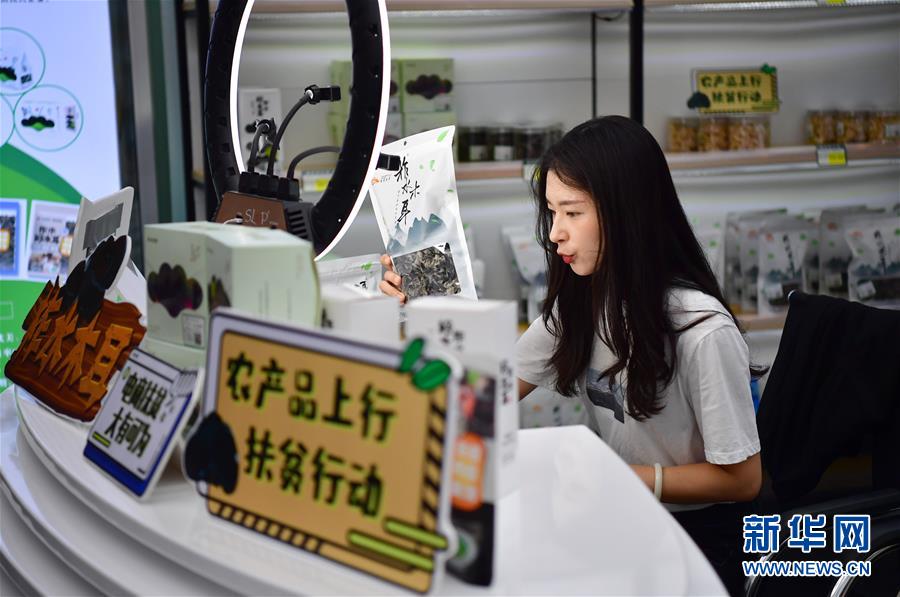 （走向我們的小康生活·圖文互動(dòng)）（3）綠了青山，紅了日子——秦巴山區(qū)群眾繪出小康“調(diào)色板”