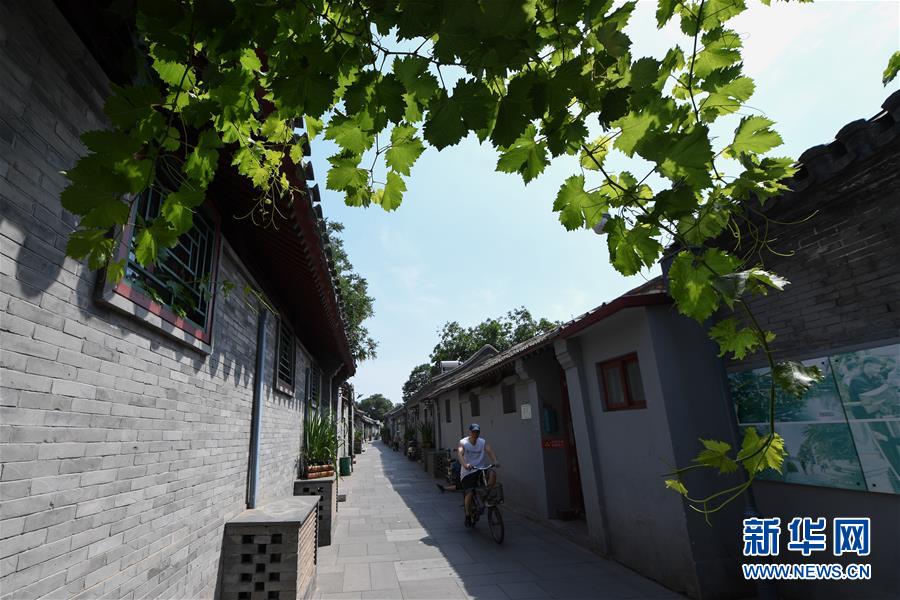 （走向我們的小康生活·圖文互動(dòng)）（1）小橋、流水、書(shū)香、人家——老北京胡同里的恬靜棲居