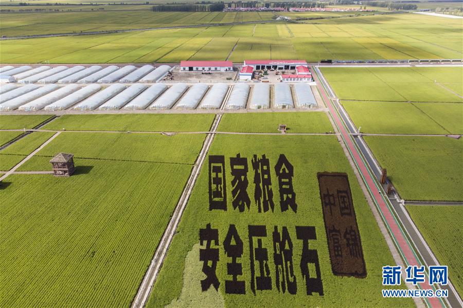 (決戰(zhàn)決勝脫貧攻堅·圖文互動)(1)再戰(zhàn)“北大倉”