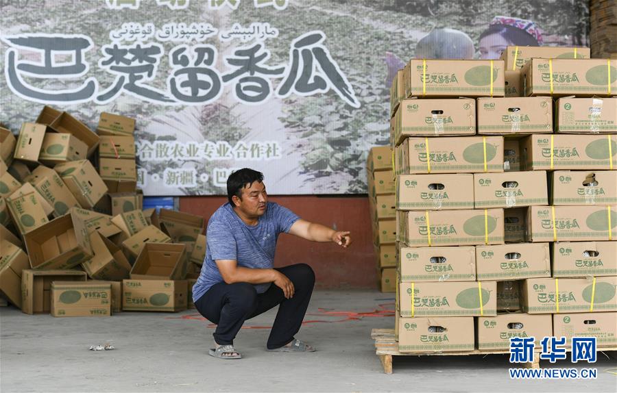 (決戰(zhàn)決勝脫貧攻堅(jiān)·圖文互動(dòng))(3)“窮”鄉(xiāng)富戶的販瓜生意經(jīng)