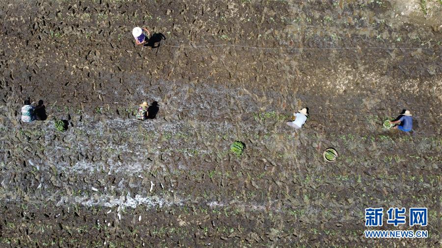 （在習近平新時代中國特色社會主義思想指引下——新時代新作為新篇章·習近平總書記關(guān)切事·圖文互動）（8）一切為了人民——寫在全國防汛救災(zāi)取得階段性重大勝利之時