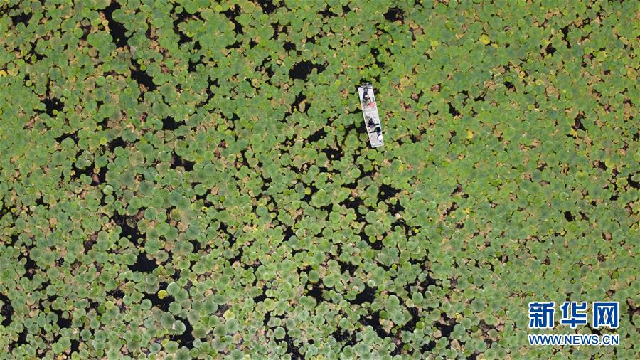 （在習近平新時代中國特色社會主義思想指引下——新時代新作為新篇章·習近平總書記關(guān)切事·圖文互動）（12）一切為了人民——寫在全國防汛救災(zāi)取得階段性重大勝利之時