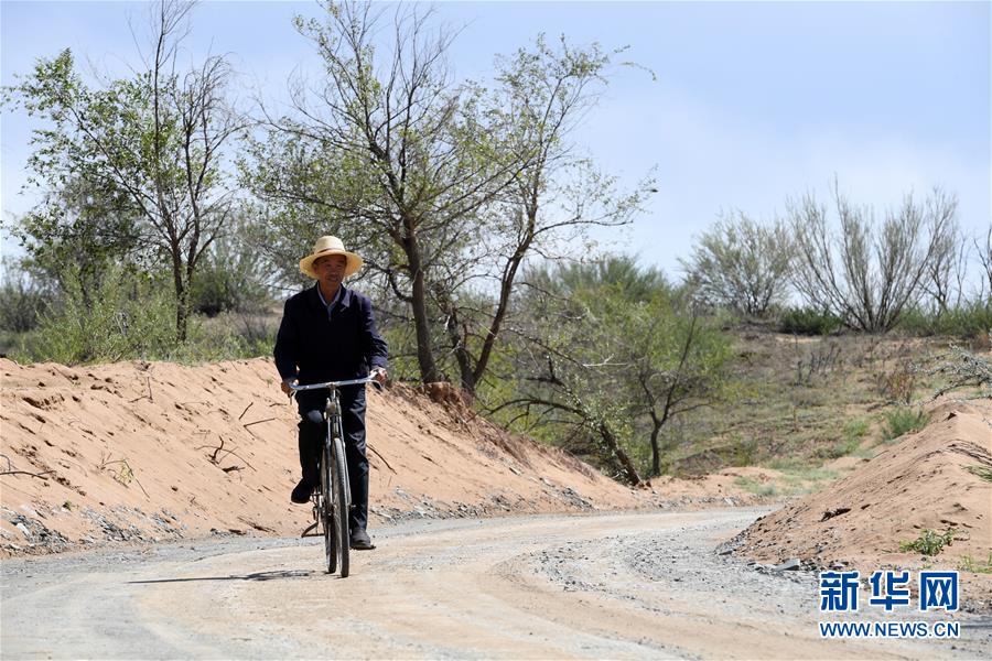 （新華全媒頭條·走向我們的小康生活·圖文互動）（7）“苦甲”不再，“甘味”綿長——脫貧攻堅(jiān)的甘肅味道