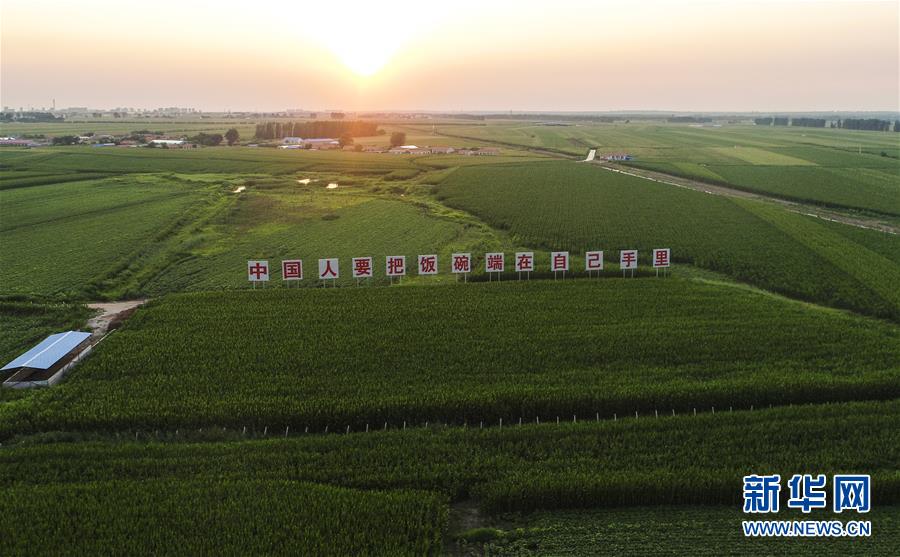 (新華全媒頭條·圖文互動(dòng))(6)為現(xiàn)代農(nóng)業(yè)探新路——來(lái)自吉林梨樹(shù)的田野報(bào)告