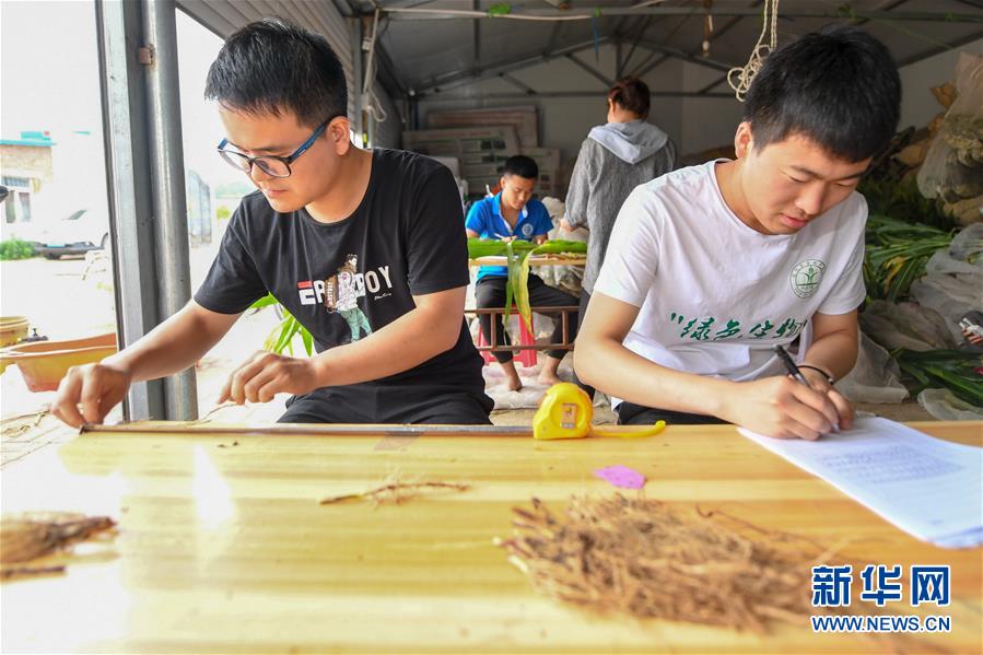 (新華全媒頭條·圖文互動(dòng))(8)為現(xiàn)代農(nóng)業(yè)探新路——來(lái)自吉林梨樹(shù)的田野報(bào)告