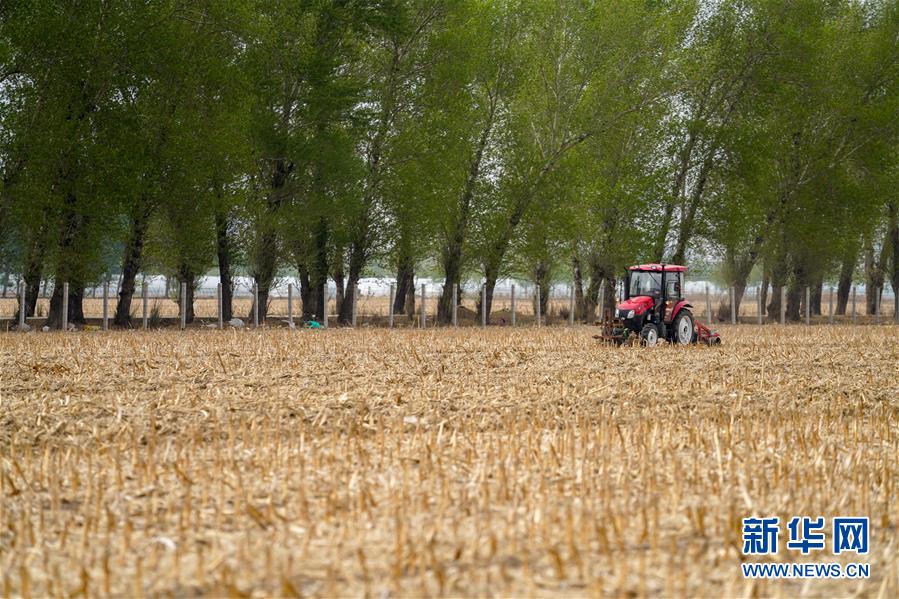 (新華全媒頭條·圖文互動(dòng))(9)為現(xiàn)代農(nóng)業(yè)探新路——來(lái)自吉林梨樹(shù)的田野報(bào)告