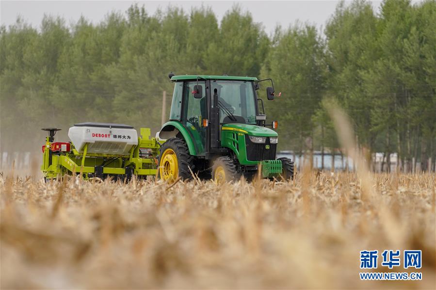 (新華全媒頭條·圖文互動(dòng))(10)為現(xiàn)代農(nóng)業(yè)探新路——來(lái)自吉林梨樹(shù)的田野報(bào)告