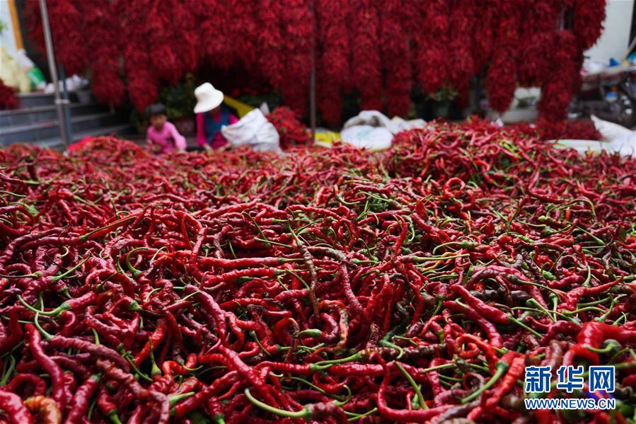 （走向我們的小康生活·決戰(zhàn)決勝脫貧攻堅·圖文互動）（7）甘青交界處的跨越——保安族、撒拉族的脫貧故事 