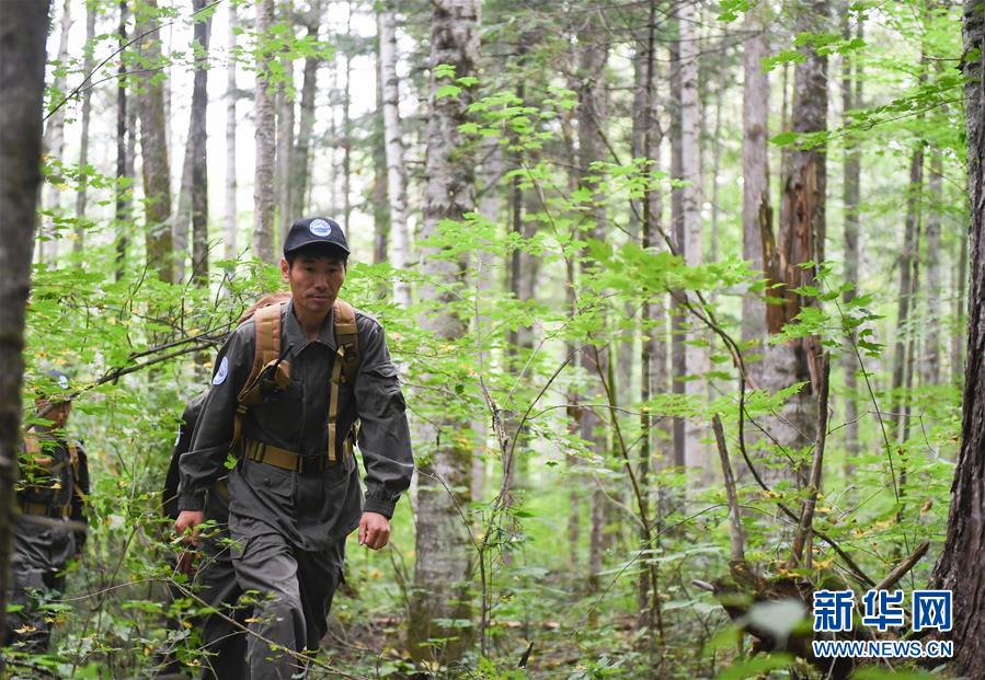 (圖文互動)(1)長白山60年書寫“生態(tài)答卷”