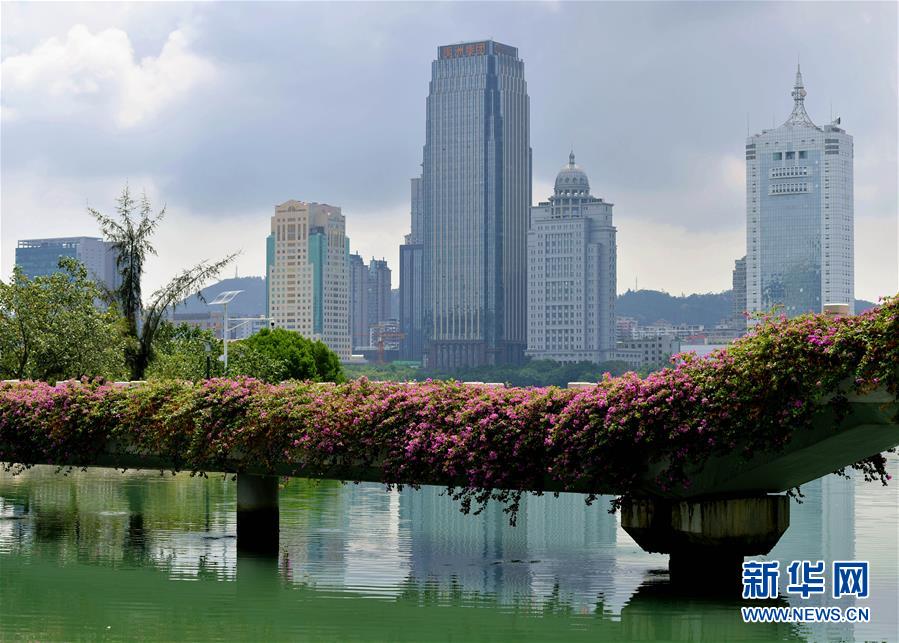 (特區(qū)40年?圖文互動)(7)廈庇五洲客 門納萬頃濤——廈門經(jīng)濟(jì)特區(qū)40年發(fā)展紀(jì)實(shí)