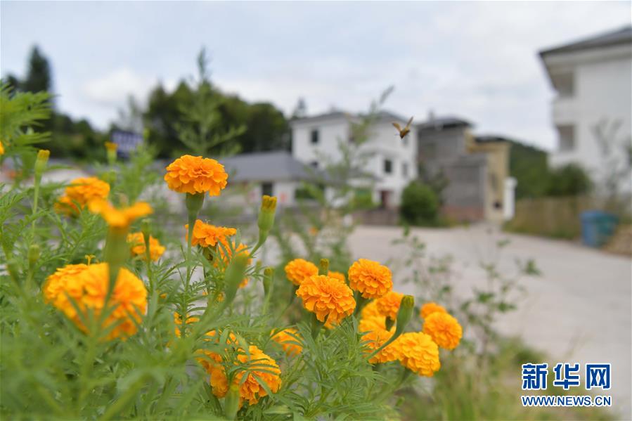 (走向我們的小康生活·圖文互動)(3)從廢棄礦山到生態(tài)“福地”——江西尋烏戰(zhàn)荒記