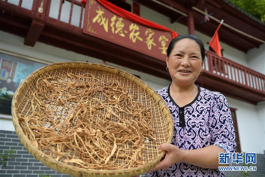 （新華全媒頭條·走向我們的小康生活·圖文互動(dòng)）（4）神山村“神奇”何在？——井岡山深處覓答案