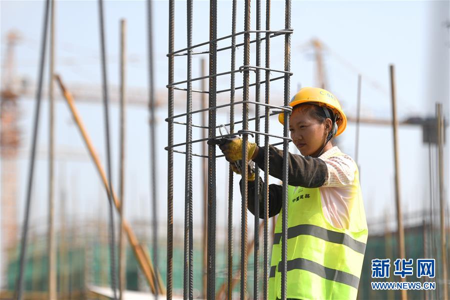 (社會(huì))(11)堅(jiān)守崗位過假期