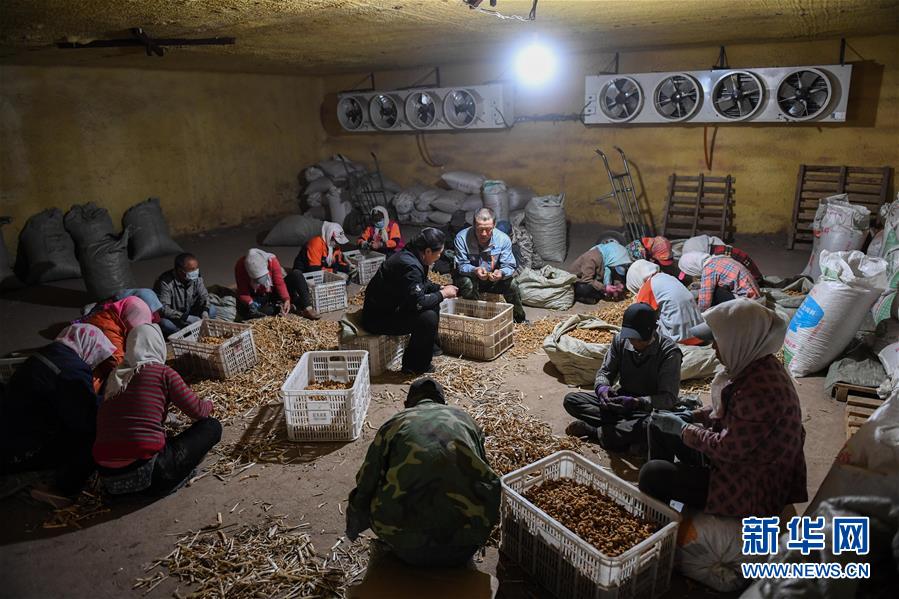 （習近平的小康故事·圖文互動）（8）“我很期盼的一件事，就是讓鄉(xiāng)親們飽餐一頓肉”——習近平和脫貧攻堅的故事