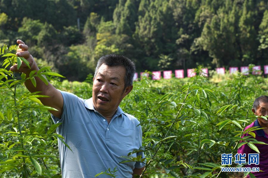 （決戰(zhàn)決勝脫貧攻堅·圖文互動）（4）“堵槍眼”的脫貧戰(zhàn)怎么打？——繼光村見聞