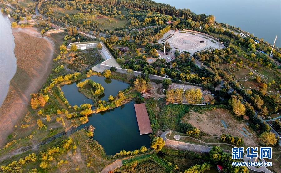 (新華全媒頭條·圖文互動)(14)從“四亂”突出到生態(tài)修復 黃河漸成中原“綠飄帶”