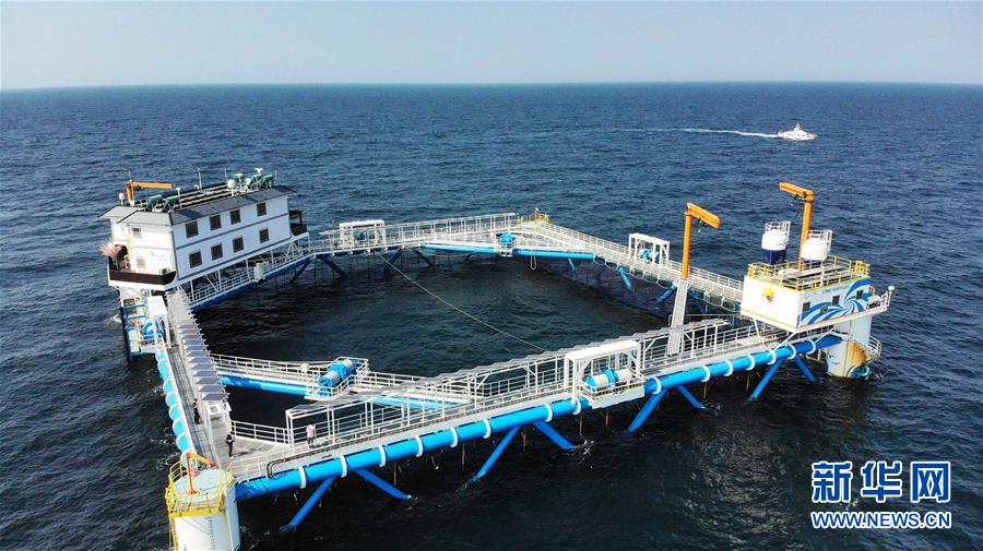 (新華全媒頭條·圖文互動(dòng))(1)“拔”海起牧場(chǎng) “耕”海新牧歌