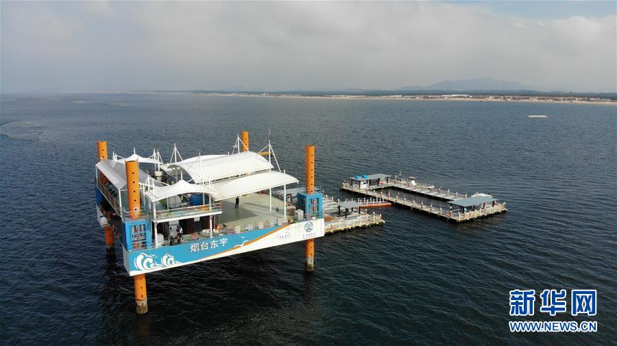 (新華全媒頭條·圖文互動(dòng))(7)“拔”海起牧場(chǎng) “耕”海新牧歌