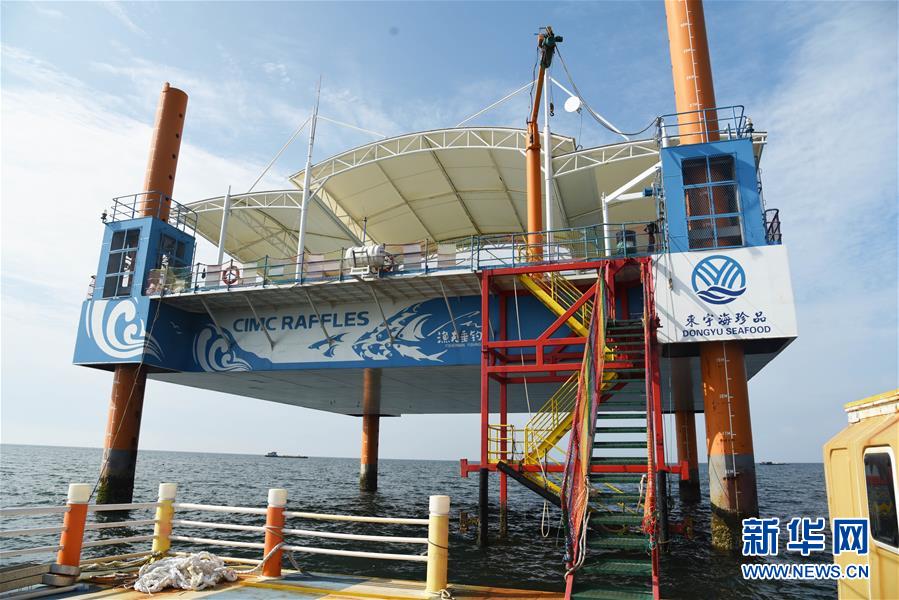 (新華全媒頭條·圖文互動(dòng))(9)“拔”海起牧場(chǎng) “耕”海新牧歌