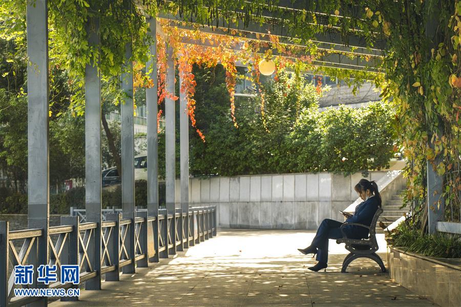 (全面建成小康社會“百城千縣萬村調(diào)研行”·圖文互動)(2)武漢:從“見縫插樓”到“見縫播綠”