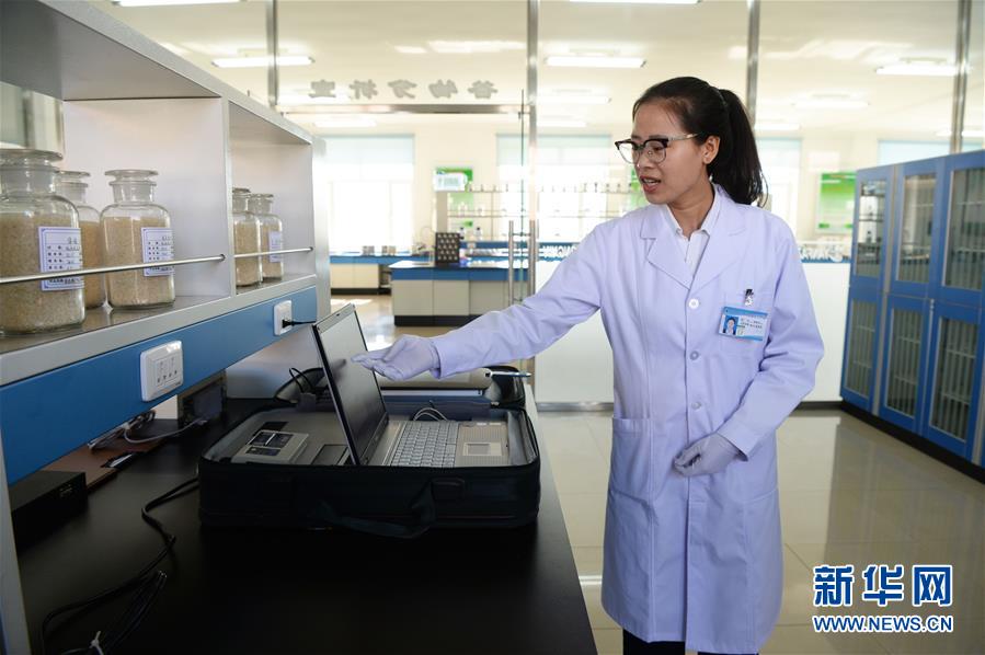 (新華全媒頭條·圖文互動(dòng))(6)奮力書寫東北振興的時(shí)代新篇——習(xí)近平總書記調(diào)研東北三省并主持召開深入推進(jìn)東北振興座談會紀(jì)實(shí)