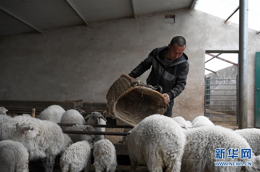 (新華全媒頭條·圖文互動)(1)春天里的5個“戰(zhàn)貧”瞬間——習近平總書記關于脫貧攻堅決策部署指引攻克最后的深貧堡壘